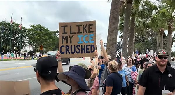 Crush Ice sign at a protest